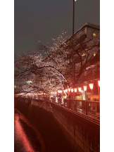 みつばちマーヤZ - めるの女の子ブログ画像