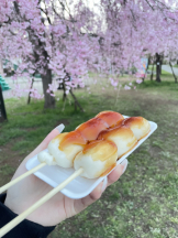 Club PiPi - みさの女の子ブログ画像