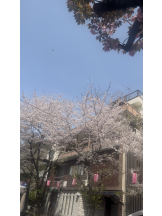 タオパイパイ 新橋店 - まるの女の子ブログ画像