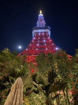 シナモン - かれんの女の子ブログ画像