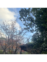 CLUB KAKUREGA - ゆいの女の子ブログ画像