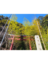 ときめき女学院 - まりんの女の子ブログ画像