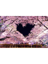 ときめき女学院 - まりんの女の子ブログ画像