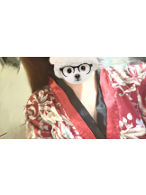 さくらん　関内 - みさの女の子ブログ画像