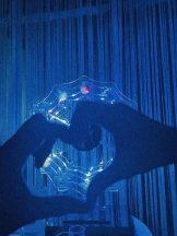 No.081 - ララの女の子ブログ画像