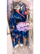 さくらん　関内 - あんずの女の子ブログ画像