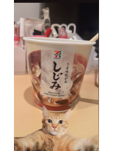 Alegria - あいりの女の子ブログ画像