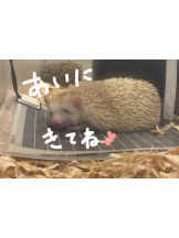 Club PiPi - ちなつの女の子ブログ画像