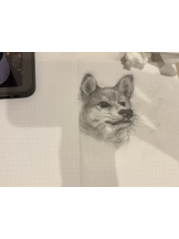 セータームーン - あげはの女の子ブログ画像