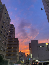 Club PiPi - pipiスタッフの女の子ブログ画像