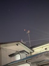 Club PiPi - pipiスタッフの女の子ブログ画像