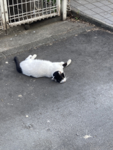 Club PiPi - pipiスタッフの女の子ブログ画像