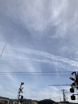 Club PiPi - pipiスタッフの女の子ブログ画像