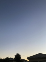 Club PiPi - pipiスタッフの女の子ブログ画像