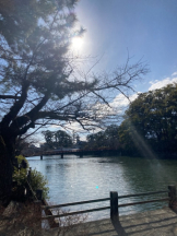 Club PiPi - pipiスタッフの女の子ブログ画像