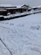 Club PiPi - pipiスタッフの女の子ブログ画像