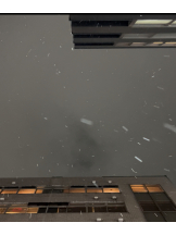 みつばちマーヤZ - ららの女の子ブログ画像