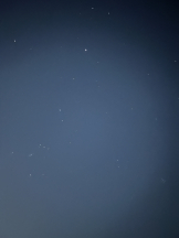 みつばちマーヤZ - ららの女の子ブログ画像