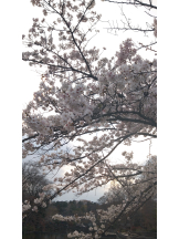 Ronno - りさの女の子ブログ画像