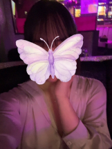 遊心楼 - なみの女の子ブログ画像