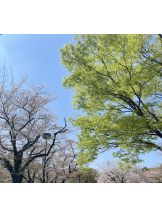 baton 大宮店 - みなの女の子ブログ画像