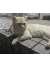 baton 大宮店 - みなの女の子ブログ画像