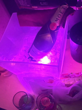 CHERRY DAYS WEST - のんの女の子ブログ画像