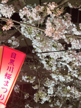 はっち 神田店 - みずきの女の子ブログ画像