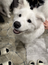 はっち 神田店 - みずきの女の子ブログ画像