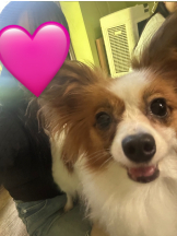 はっち 神田店 - みずきの女の子ブログ画像