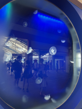 はっち 神田店 - みずきの女の子ブログ画像