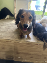 はっち 神田店 - みずきの女の子ブログ画像