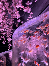 はっち 神田店 - みずきの女の子ブログ画像