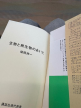 Felice(フェリス) - さきの女の子ブログ画像