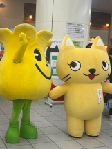 Felice(フェリス) - さきの女の子ブログ画像