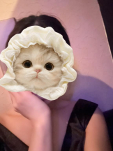 Felice(フェリス) - さきの女の子ブログ画像