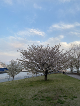 ときめき女学院 - みなみの女の子ブログ画像