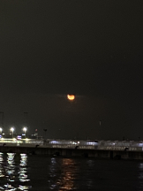 ときめき女学院 - みなみの女の子ブログ画像