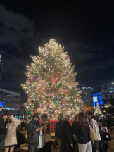 ときめき女学院 - みなみの女の子ブログ画像