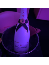 みつばちマーヤZ - かれんの女の子ブログ画像