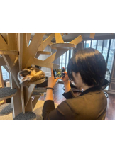 Felice(フェリス) - りんの女の子ブログ画像