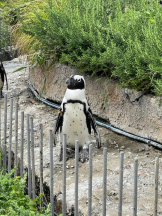 Felice(フェリス) - りんの女の子ブログ画像