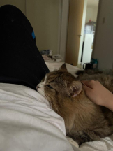 Felice(フェリス) - りんの女の子ブログ画像