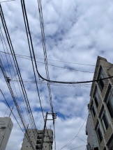 Felice(フェリス) - りんの女の子ブログ画像