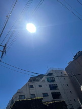 Felice(フェリス) - りんの女の子ブログ画像