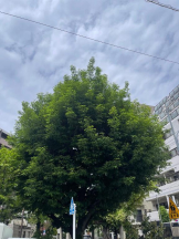 Felice(フェリス) - りんの女の子ブログ画像