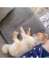 ハイスクールbanana - にのの女の子ブログ画像