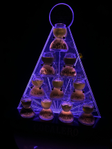 CHELSEA - りなの女の子ブログ画像