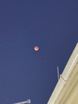 CHELSEA - りなの女の子ブログ画像