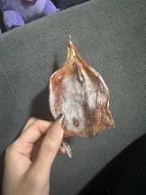 ベイビーモコ - ふゆの女の子ブログ画像